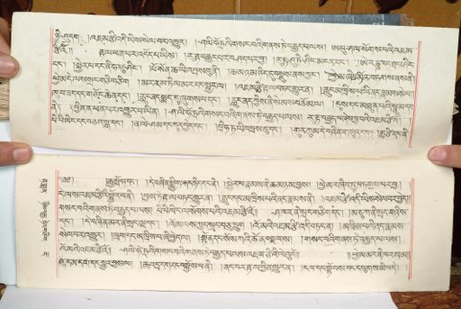 canvas: 1559hs_LTWA_800