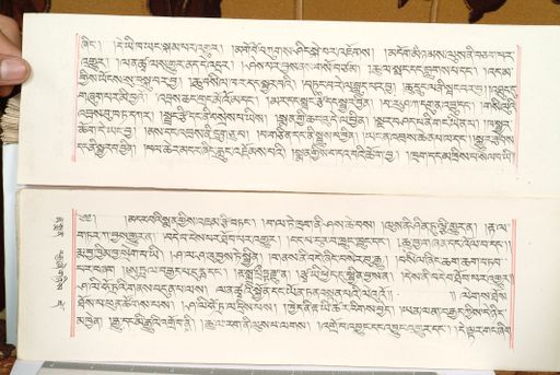 canvas: 1559ep_LTWA_800