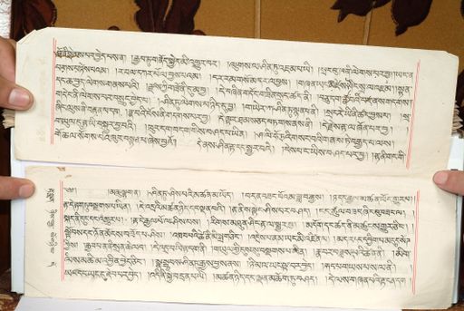 canvas: 1559id_LTWA_800