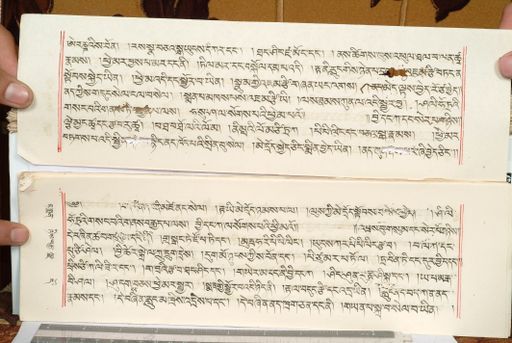 canvas: 1559hb_LTWA_800