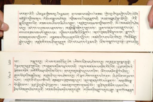 canvas: 1559ck_LTWA_800