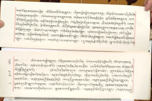 canvas: 1559ch_LTWA_800