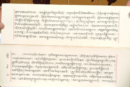 canvas: 1559be_LTWA_800