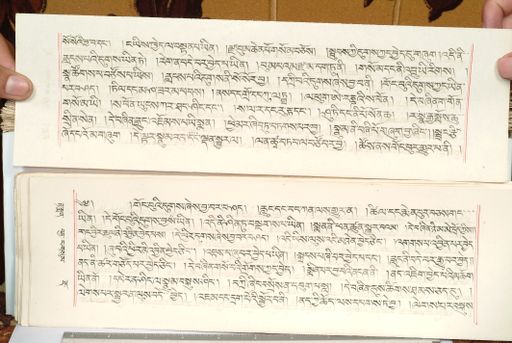 canvas: 1559fb_LTWA_800