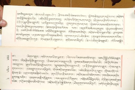 canvas: 1559bh_LTWA_800