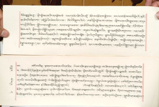 canvas: 1559al_LTWA_800