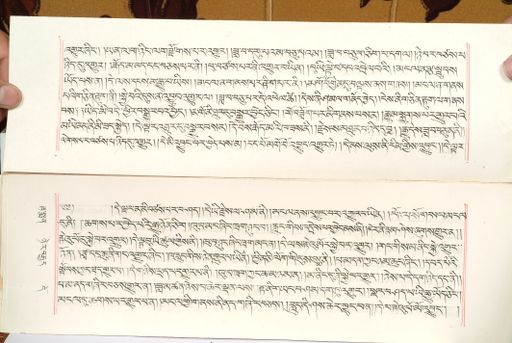 canvas: 1559ac_LTWA_800