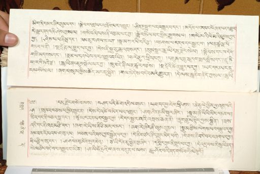 canvas: 1559es_LTWA_800