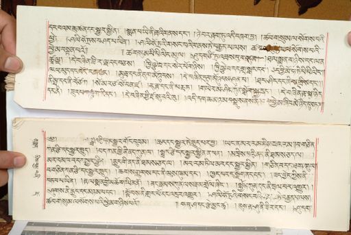 canvas: 1559ha_LTWA_800