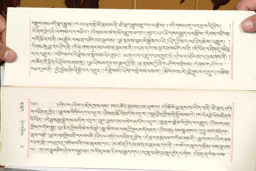 canvas: 1559w_LTWA_800