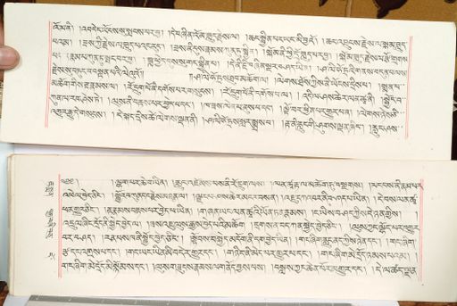 canvas: 1559en_LTWA_800