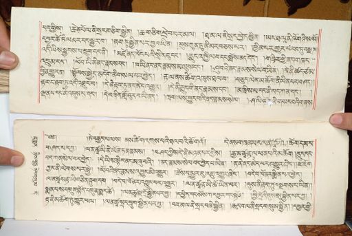 canvas: 1559hu_LTWA_800