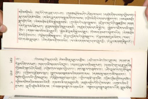 canvas: 1559cj_LTWA_800