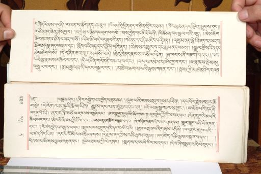 canvas: 1559g_LTWA_800