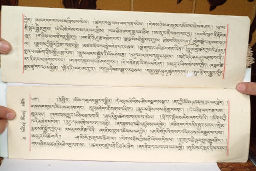 canvas: 1559hx_LTWA_800