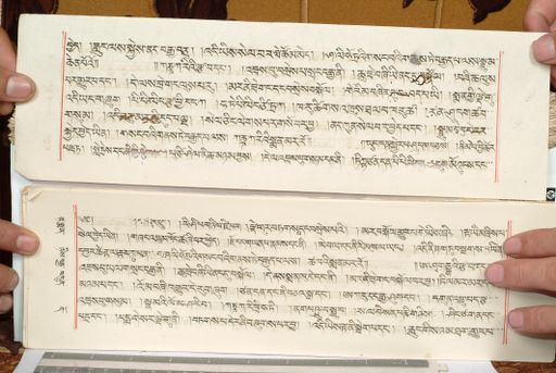 canvas: 1559hd_LTWA_800