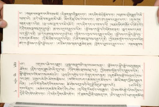 canvas: 1559cz_LTWA_800