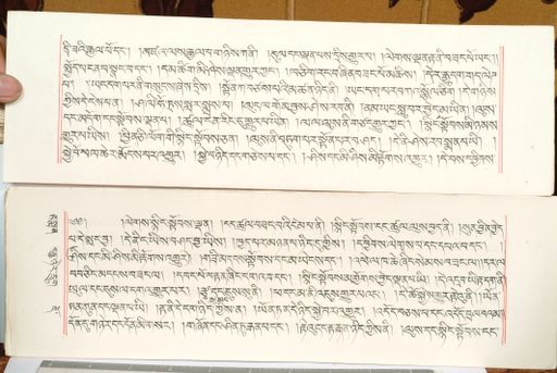 canvas: 1559dz_LTWA_800