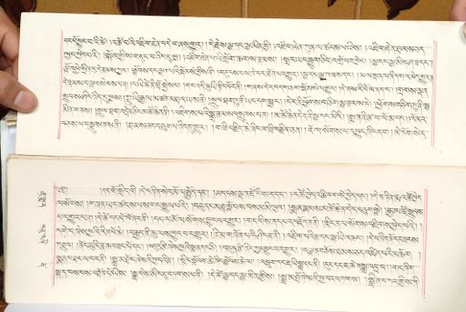 canvas: 1559o_LTWA_800