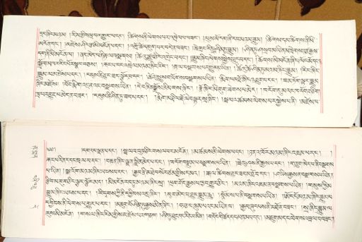 canvas: 1559ao_LTWA_800