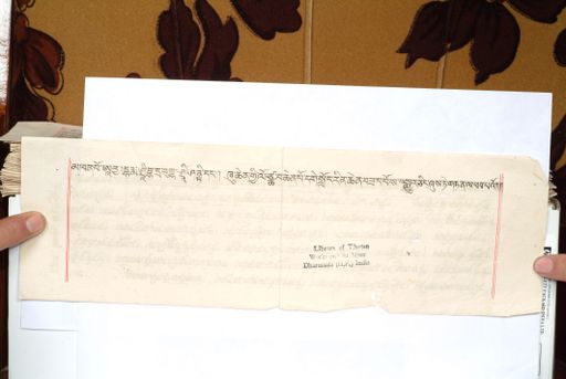 canvas: 1559ig_LTWA_800