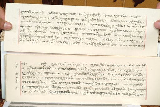 canvas: 1559fj_LTWA_800