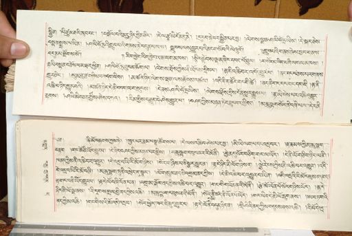 canvas: 1559gj_LTWA_800