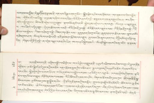 canvas: 1559s_LTWA_800