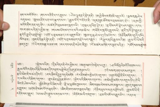 canvas: 1559cf_LTWA_800