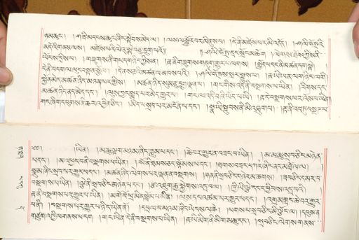 canvas: 1559bi_LTWA_800