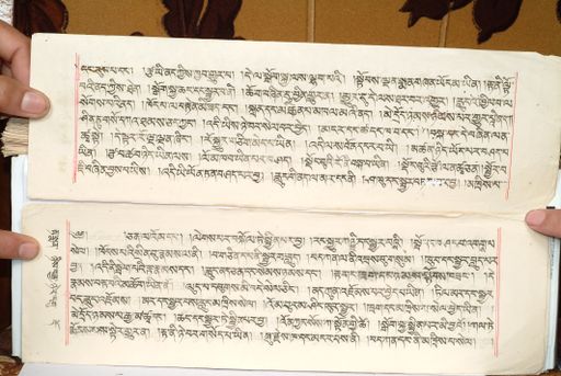 canvas: 1559ia_LTWA_800