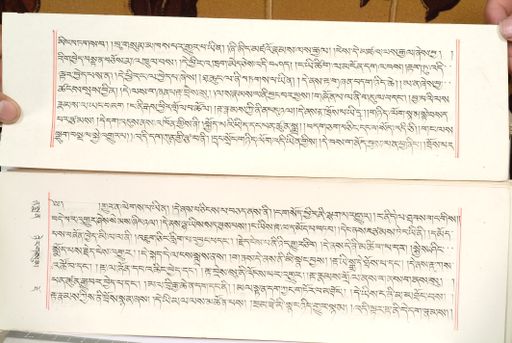 canvas: 1559x_LTWA_800