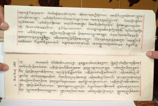 canvas: 1559hw_LTWA_800