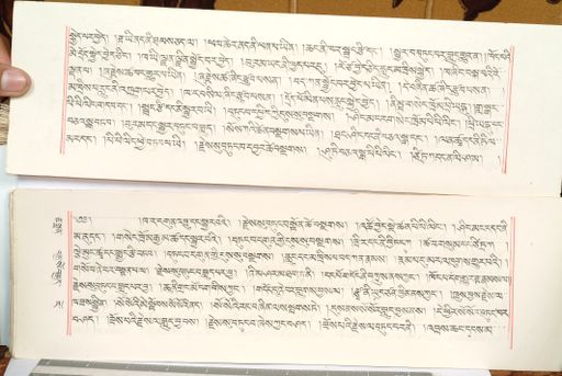 canvas: 1559el_LTWA_800