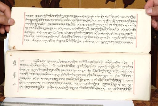 canvas: 1559c_LTWA_800