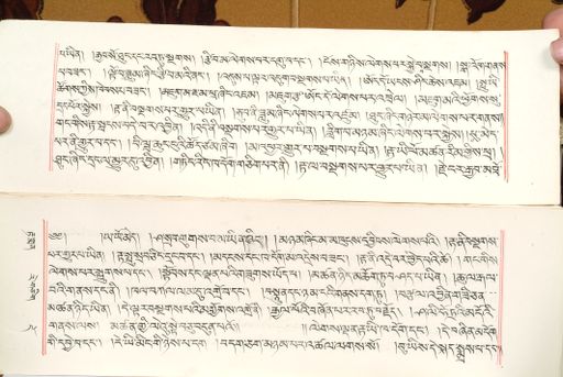 canvas: 1559bk_LTWA_800