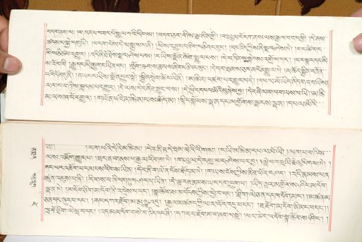 canvas: 1559q_LTWA_800