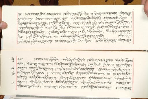 canvas: 1559cy_LTWA_800