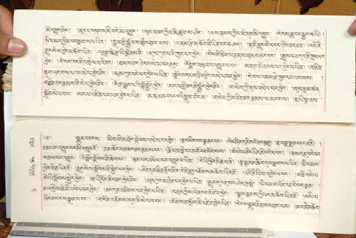 canvas: 1559fz_LTWA_800