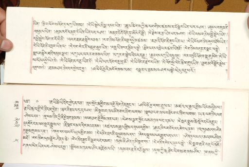 canvas: 1559as_LTWA_800