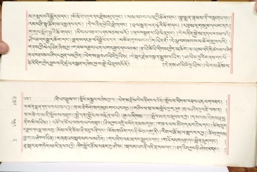 canvas: 1559h_LTWA_800