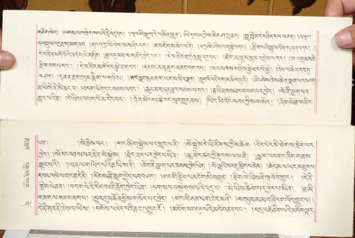 canvas: 1559dp_LTWA_800