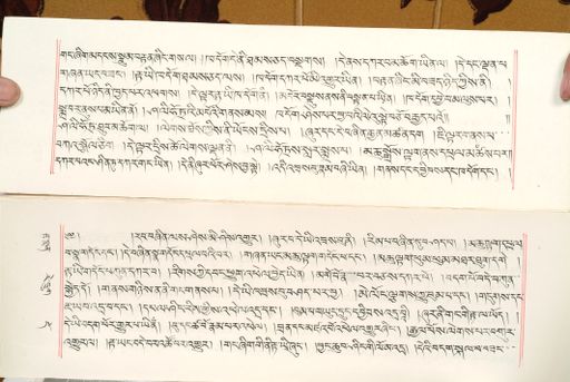 canvas: 1559bp_LTWA_800