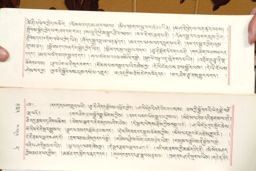 canvas: 1559bg_LTWA_800