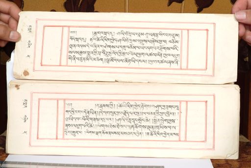 canvas: 1559b_LTWA_800