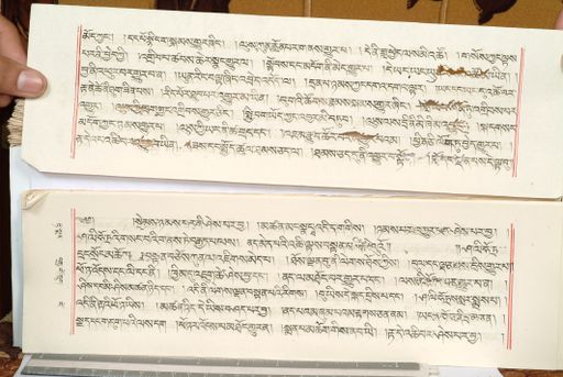 canvas: 1559gs_LTWA_800