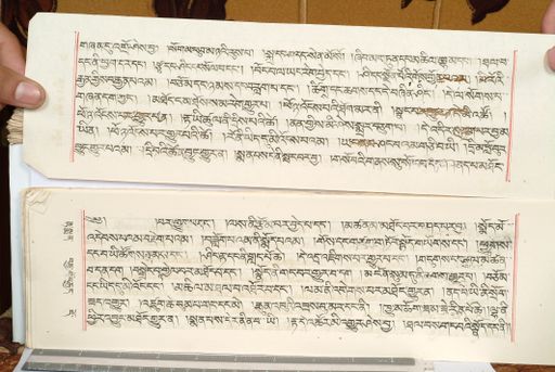 canvas: 1559gu_LTWA_800