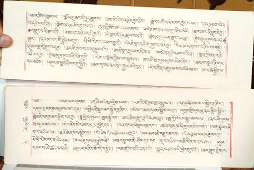 canvas: 1559em_LTWA_800