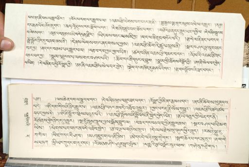 canvas: 1559fw_LTWA_800