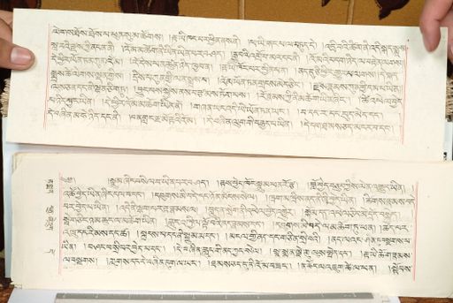 canvas: 1559et_LTWA_800